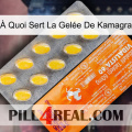 À Quoi Sert La Gelée De Kamagra new05